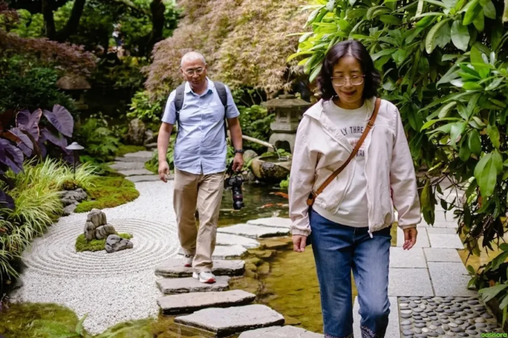 Pathways-of-Zen-Garden-Rocks