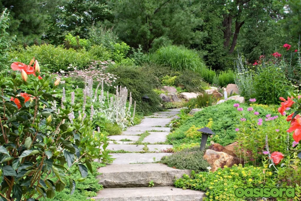 Balancing-Aesthetics-Ecosystem-in-zen-garden-to-make-more-attractive