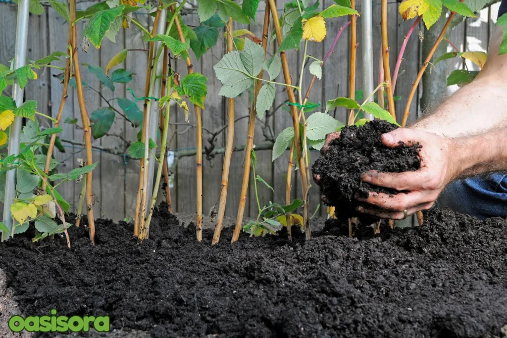 Composting-Natural-Fertilization-Techniques-for-your-garden.