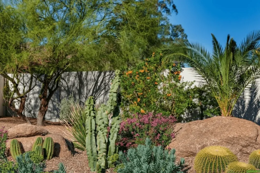 Desert-Garden-ideas-with-this-type-of-plants-grouping