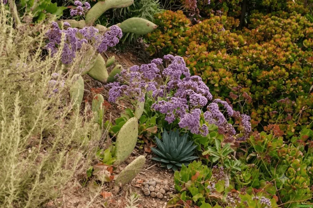 Desert-Plants-39-Beautiful-Low-Care-Choices-for-2026