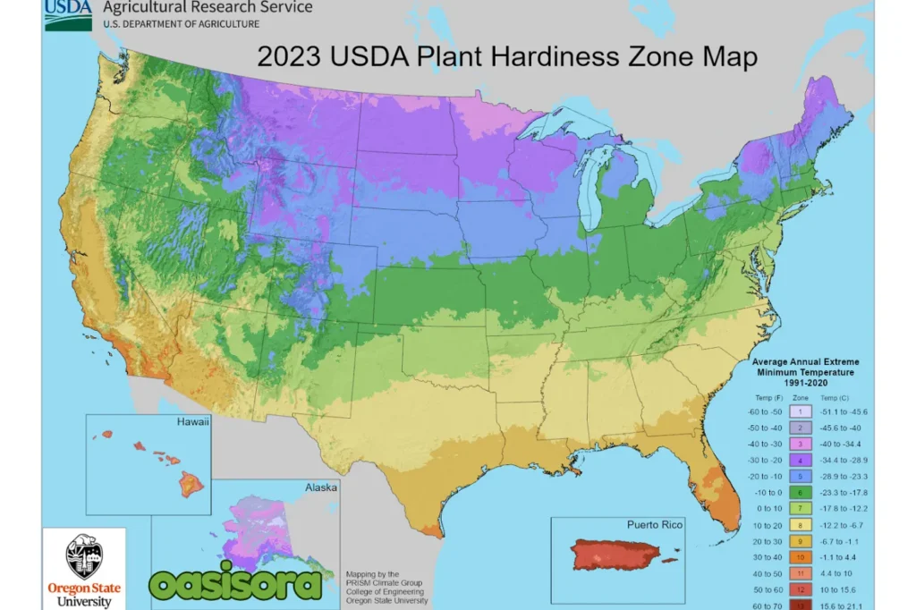 Hardness-Zone-for-Zen-Garden