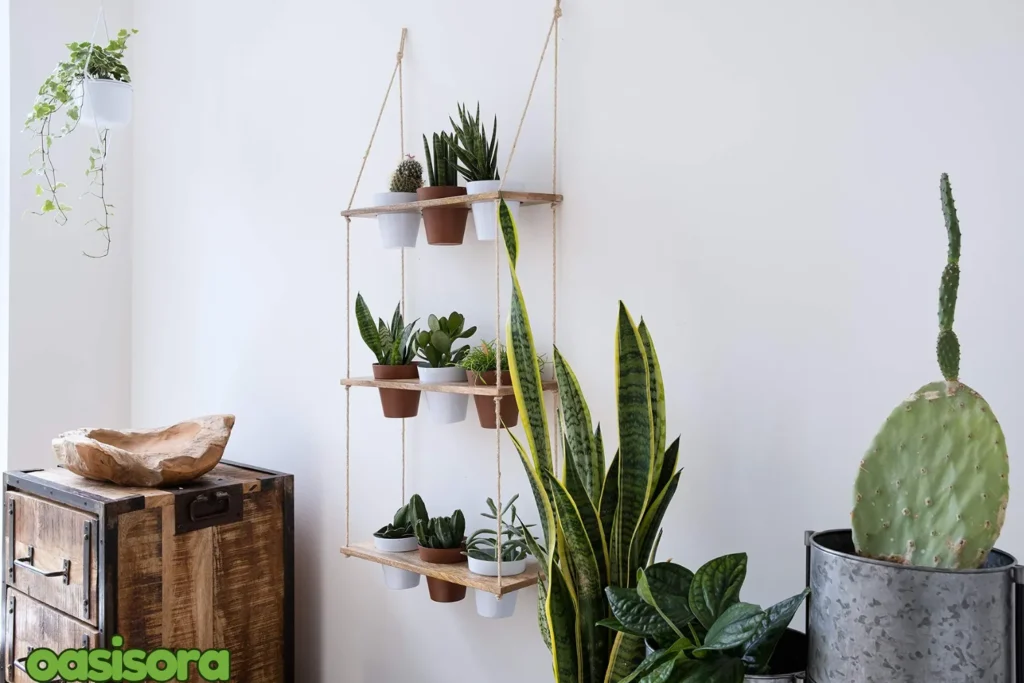 Kimisty-Designs-Hanging-Planter-Shelf-Set