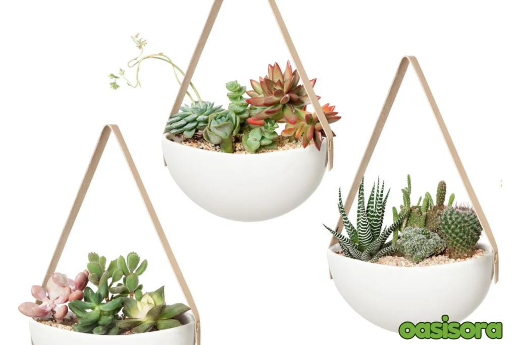 
Mkono-Wall-Planters