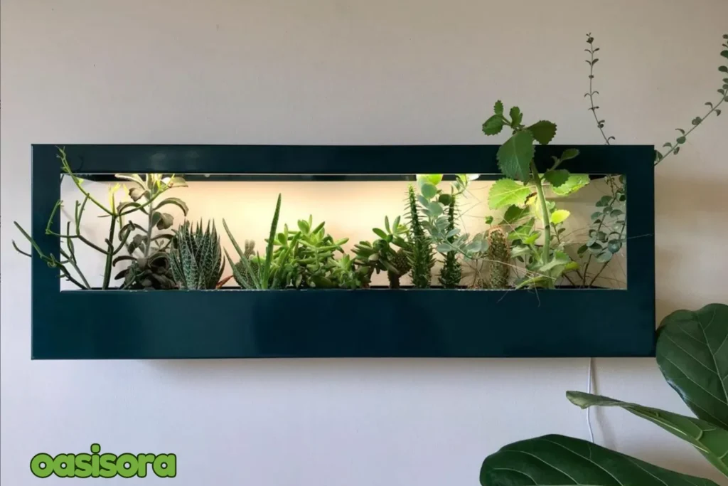 Modern-Sprout-Grow-Frame-Wall-Mounted-LED-Shelf
