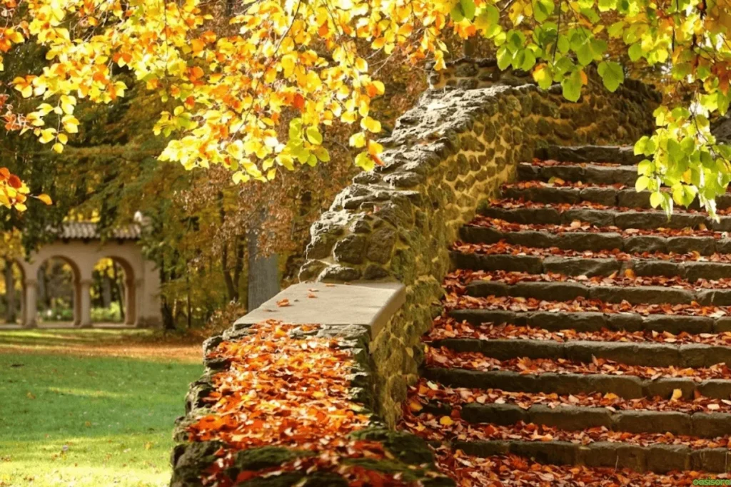 Stone-Seatwall-at-Balboa-Park