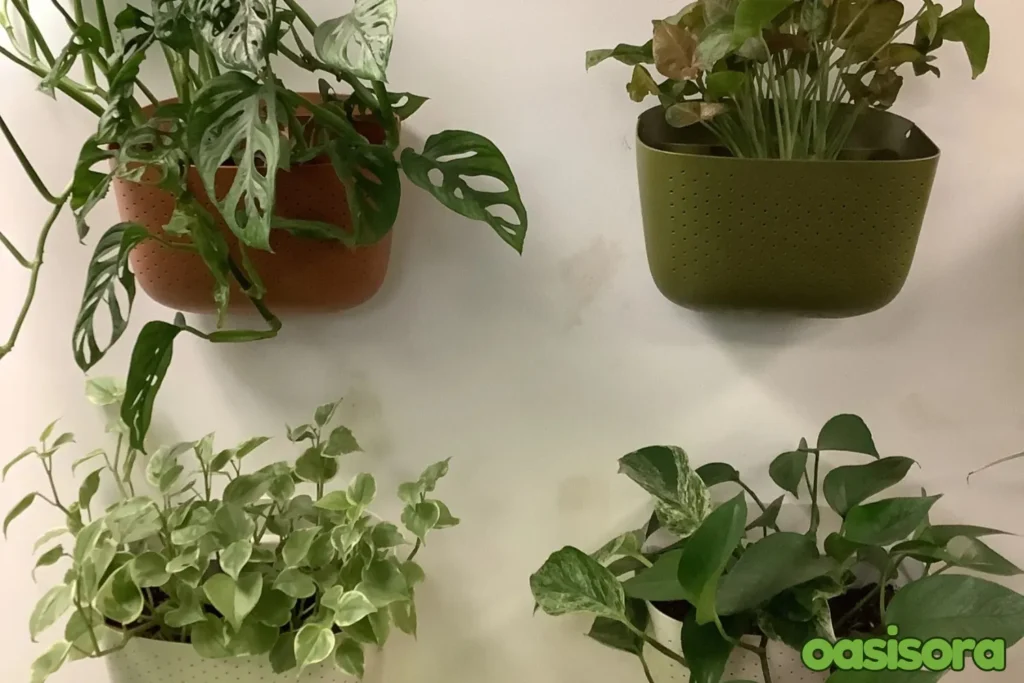 WallyGrow-Eco-Wall-Planter
