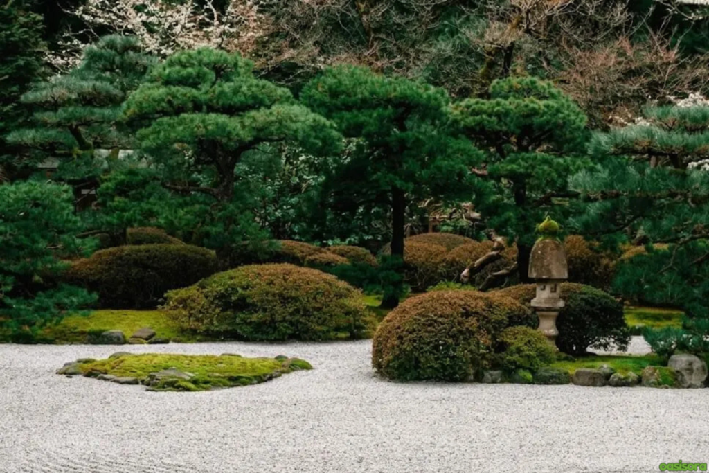 Zen Garden Ideas: 20 Calm Designs for Modern Spaces (2026) 1 Zen-Garden-Ideas-20-Calm-Designs-for-Modern-Spaces-(2026)