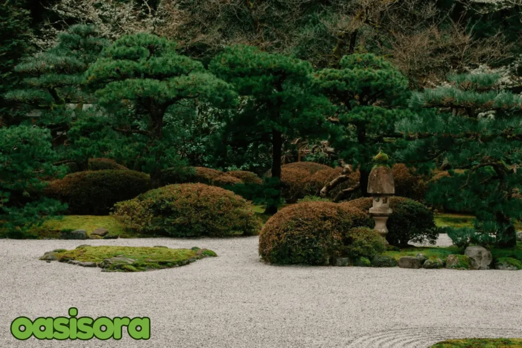 
Zen-garden-ideas