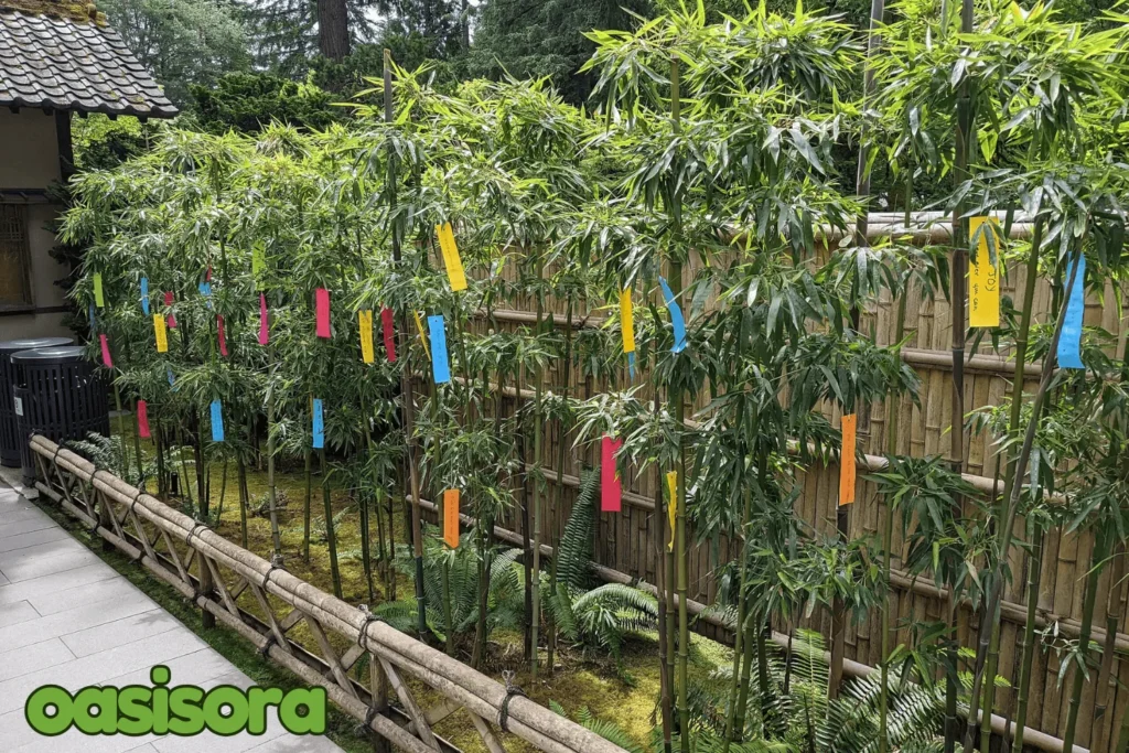 bamboo-screen-at-the-Portland-Japanese-Garden