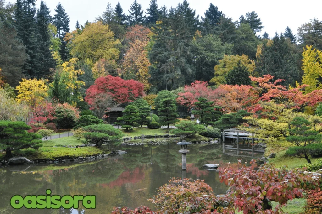 
japanese-strolling-garden