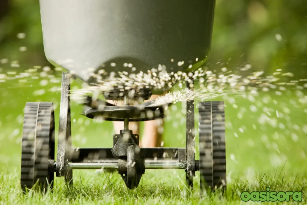 Fall-Grass-Fertilizing.webp
