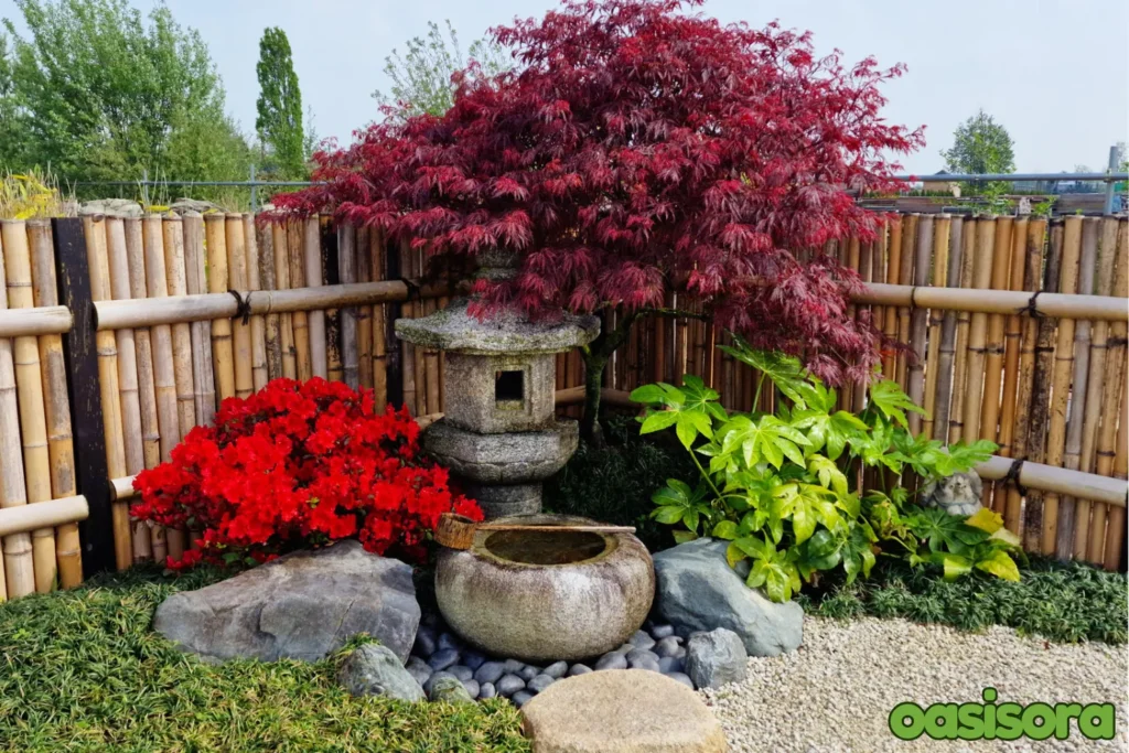 Japanese-Garden-Plants-Area