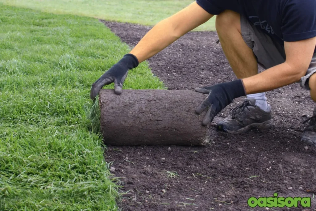 Sod-Installation-for-a-Perfect-Lawn.webp
