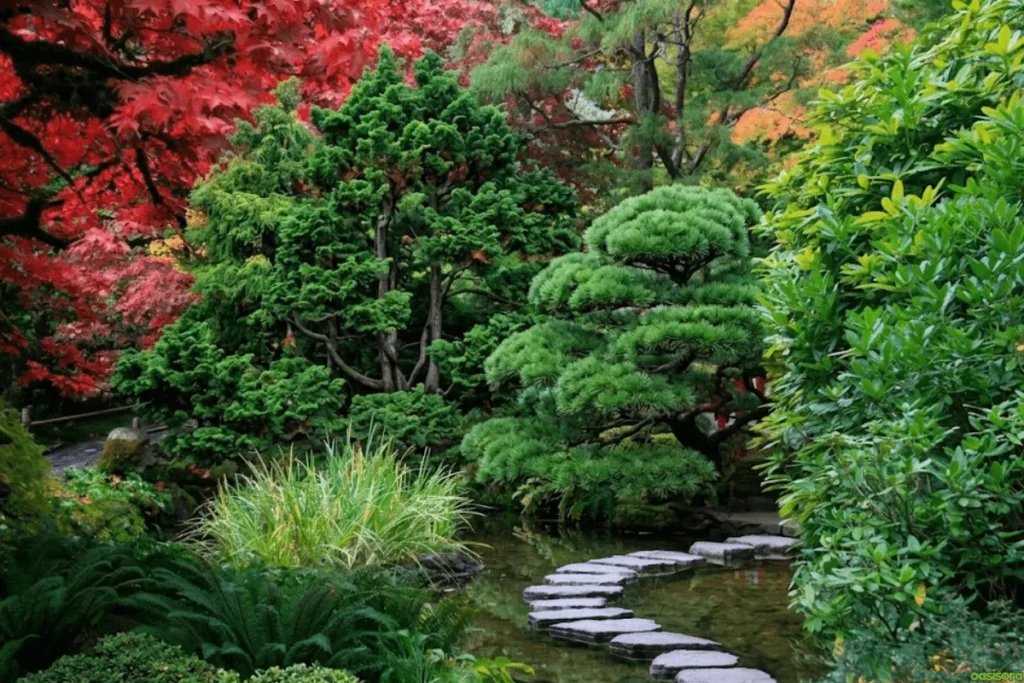 Evergreen-Trees-in-Japanese-Garden-9-Stunning-Picks-in-2026