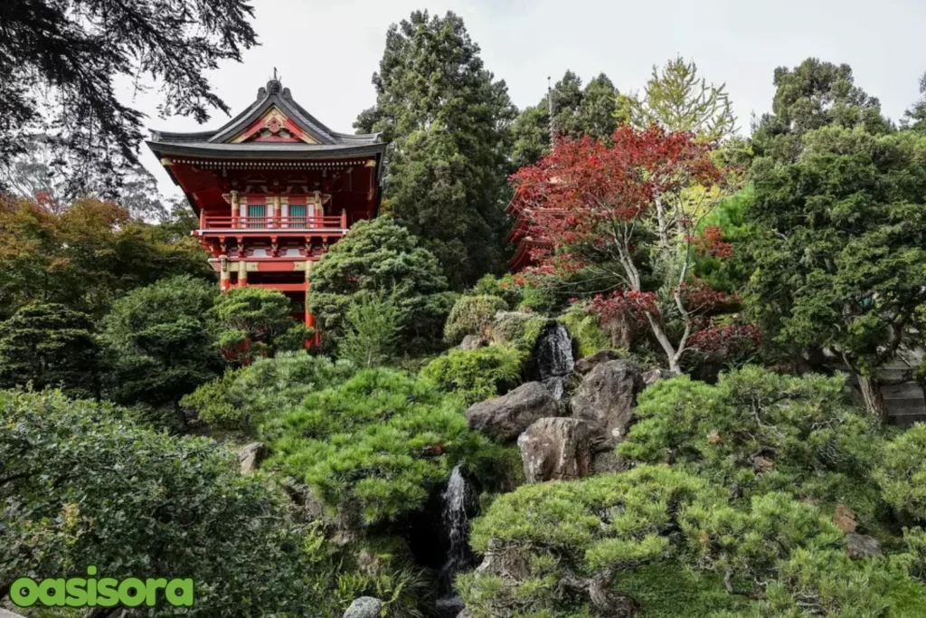 Guide-to-Japanese-tea-garden