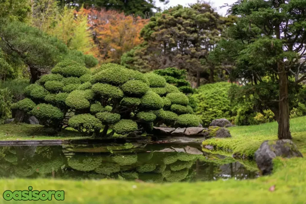 Japanese-Tea-Garden-view
