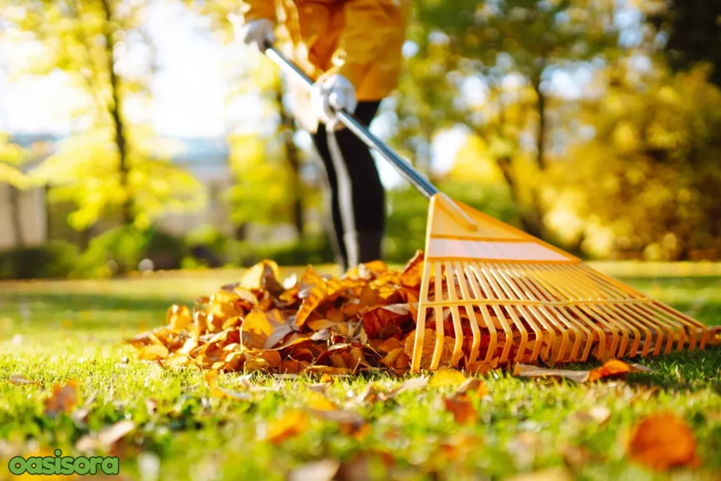 Clean-fall-leaves-maintenance-tips