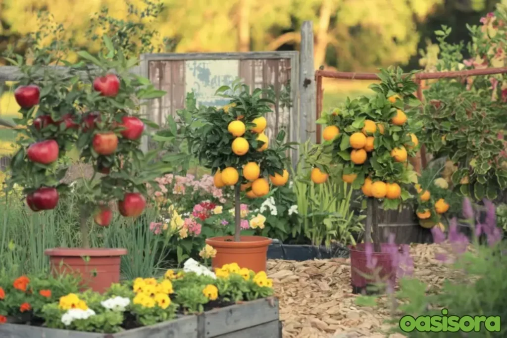 Design-Your-Landscape-with-Fruit-Trees
