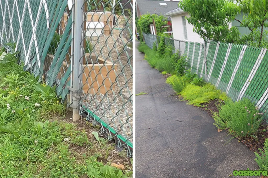 Barrier-to-Protect-Garden-Beds
