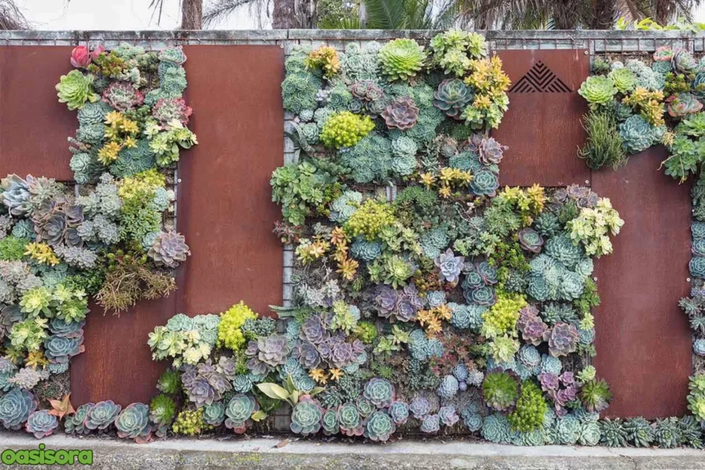 Creative-Outdoor-Succulent-Garden-Ideas
