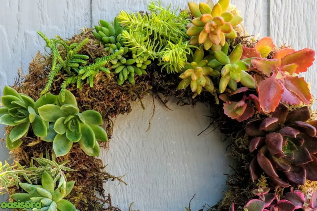 DIY-Succulent-Wreath