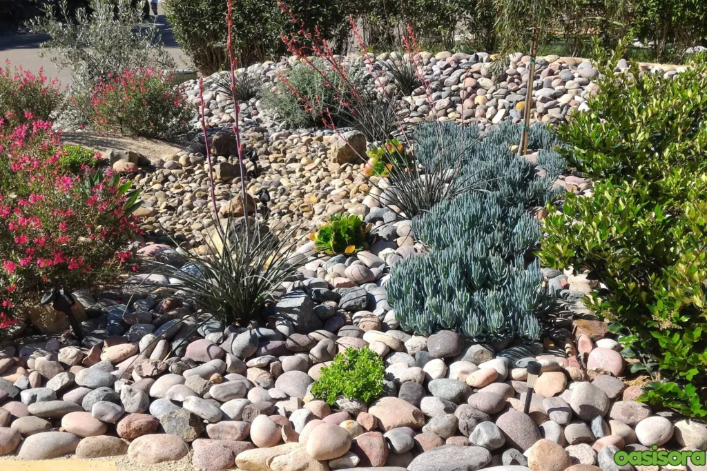 Dry-Creek-Bed-for-succulents