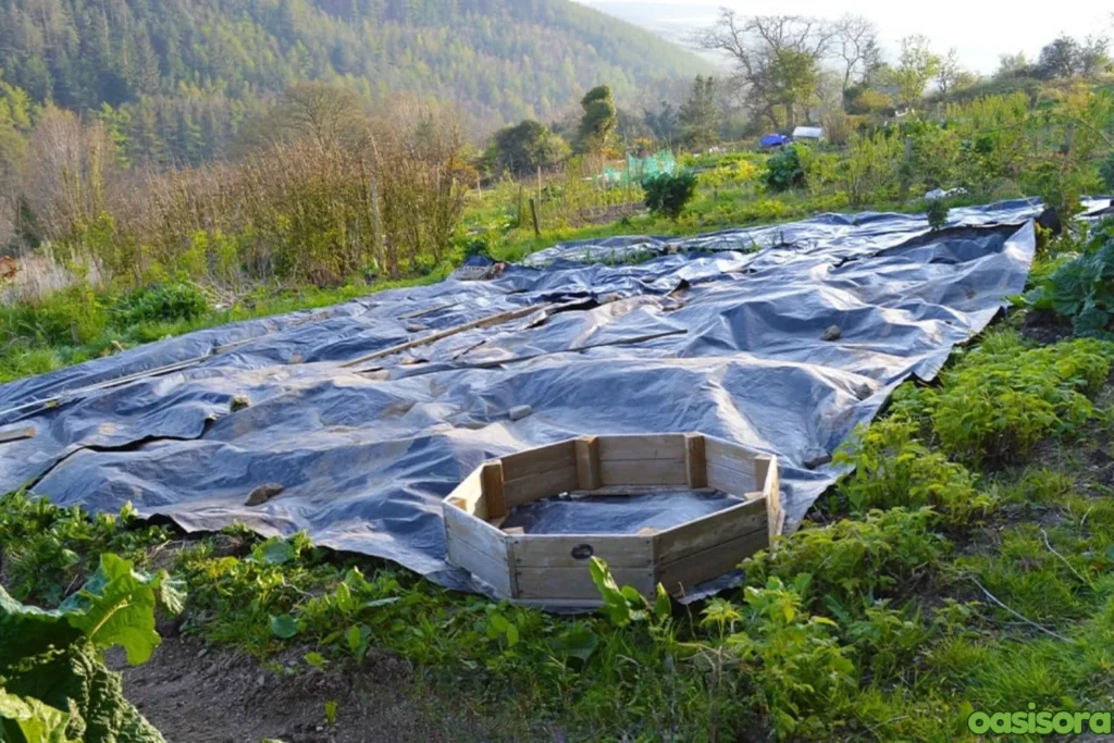 Keep-Bare-Soil-Covered