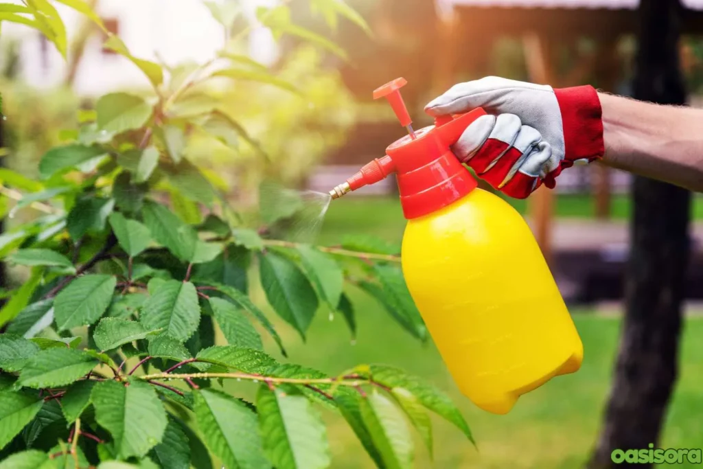 Natural-weed-control-method-organic-pesticides