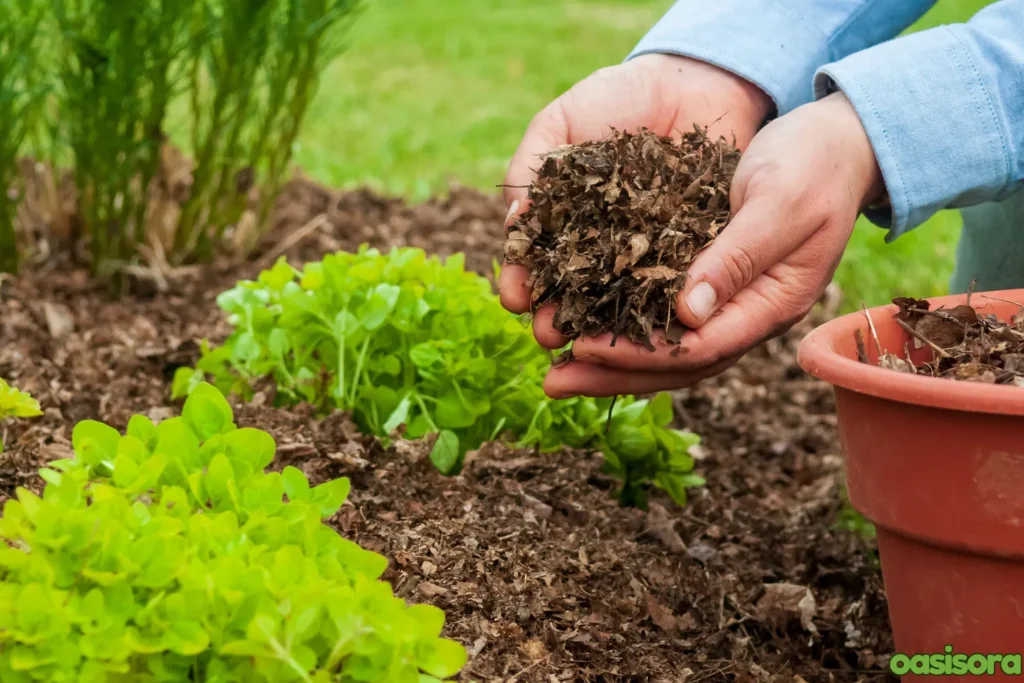 use-mulch-to-make-garden-weed-free