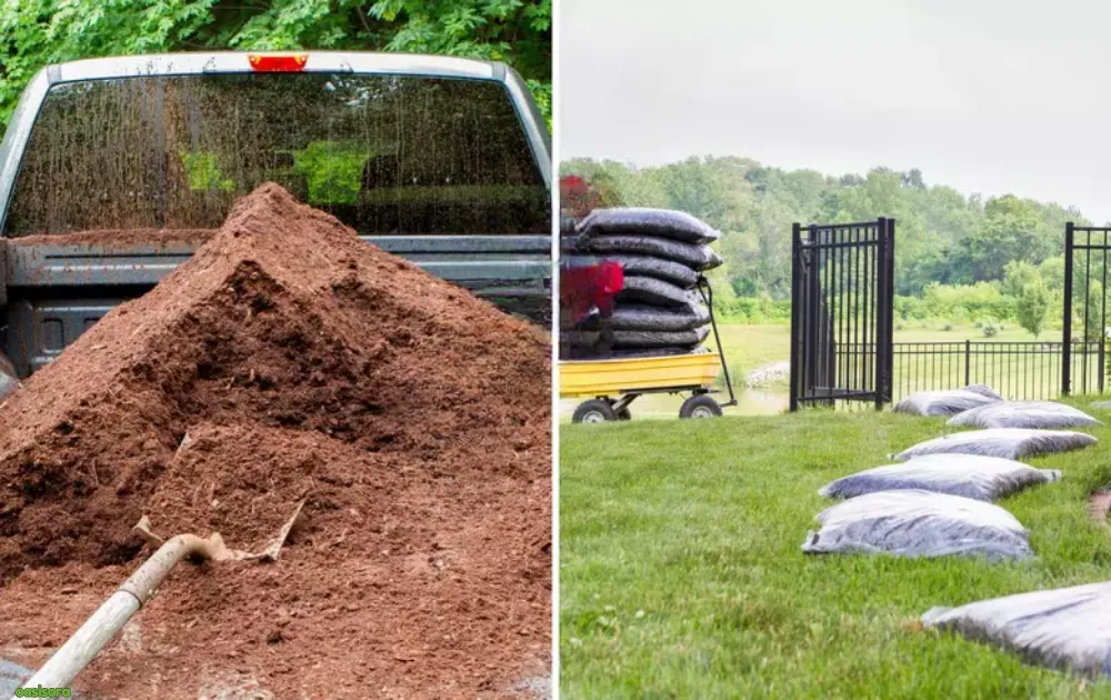 How Many Bags of Mulch are in a Yard: A Guide with Pro Tips 6 Bulk-Mulch-vs-Bagged-Mulch