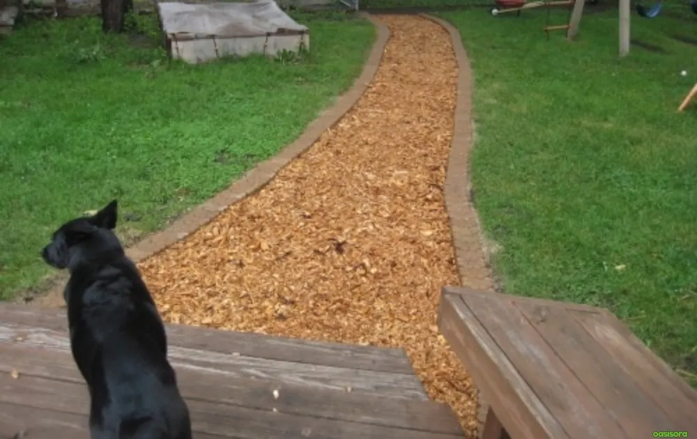 15 Tips for Dog Friendly Backyard Ideas on a Budget in 2025 11 Create-a-Dog-Path-With-Pavers-or-Mulch