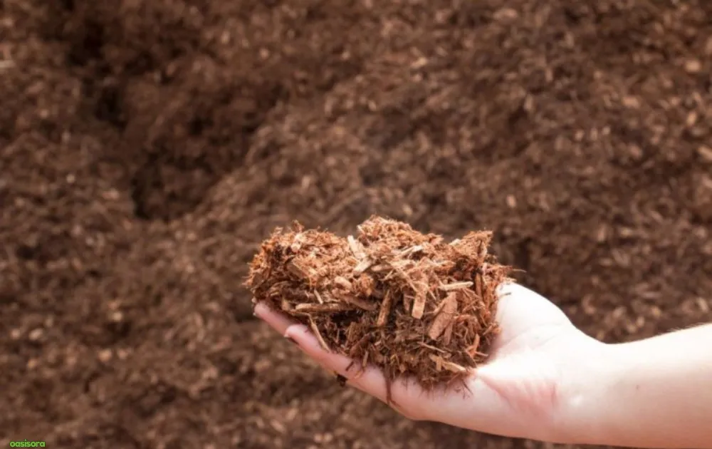 Cypress-Mulch-for-florida-landscapes