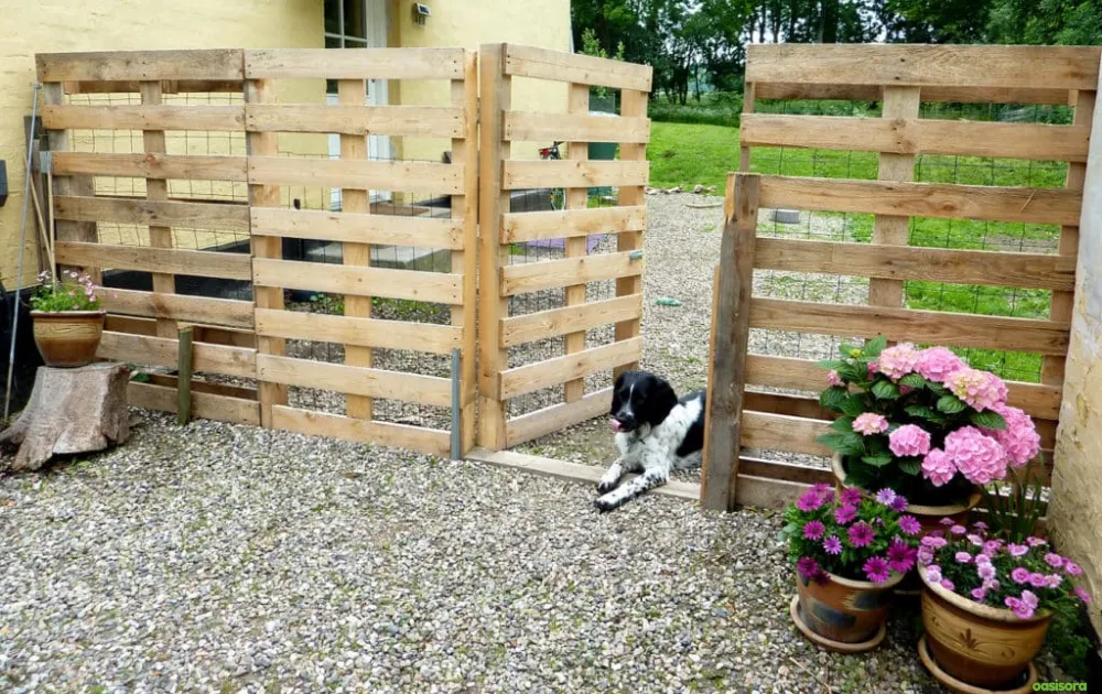 15 Tips for Dog Friendly Backyard Ideas on a Budget in 2025 6 DIY-Pallet-Fencing-for-dogs