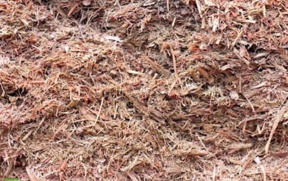 Melaleuca-Mulch-or-Flori-Mulch