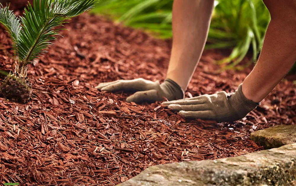 Mulch-for-a-Natural-and-Warm-Look