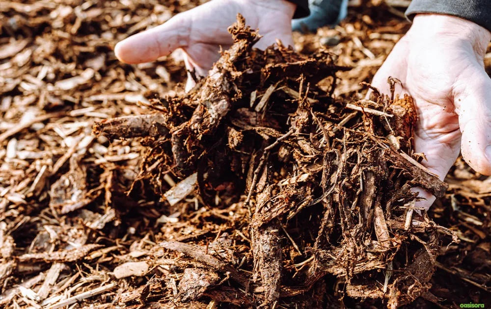 Organic-Mulch-Blends-for-florida-yards