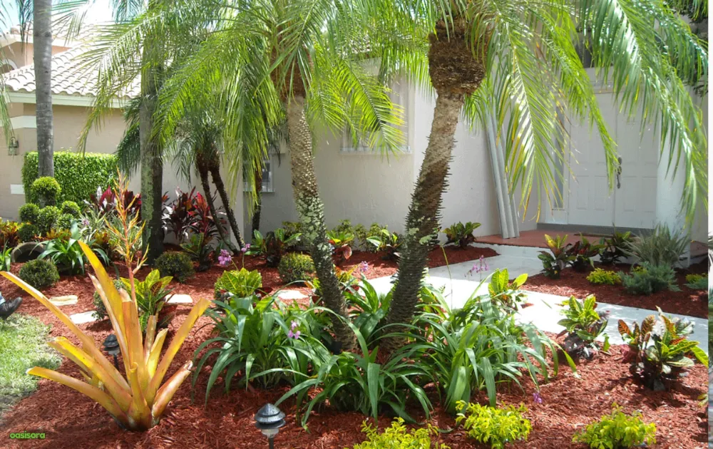 Palm-Tree-Island-With-Rocks-or-Mulch
