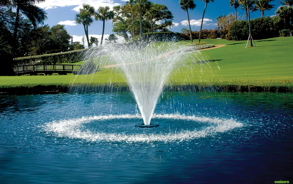 Palms-With-Water-Features
