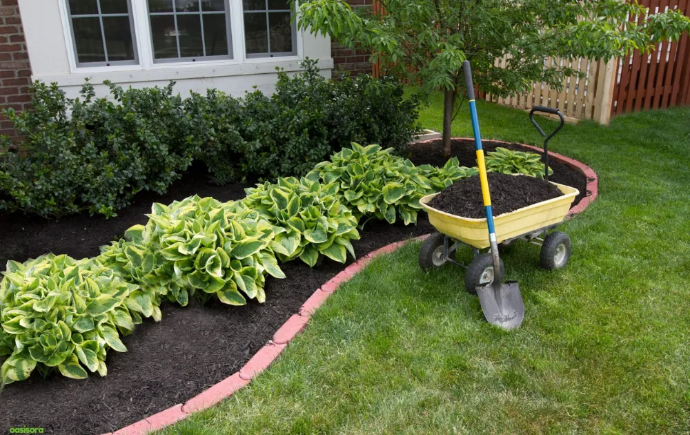 Pros-and-Cons-of-Mulch