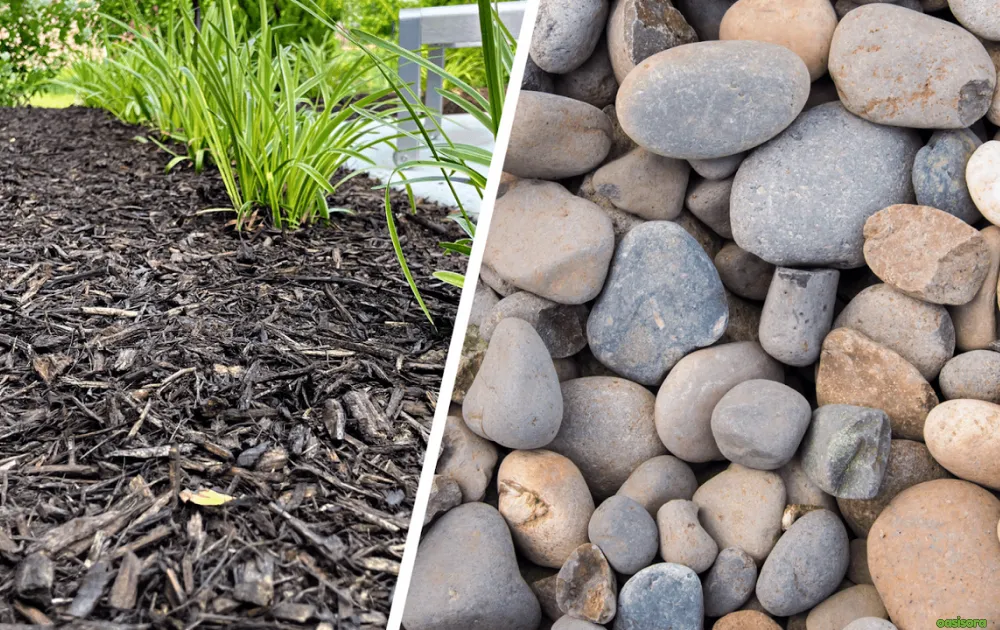 Rocks-vs-Mulch-What’s-Best-for-Your-Yard-A-Complete-Guide