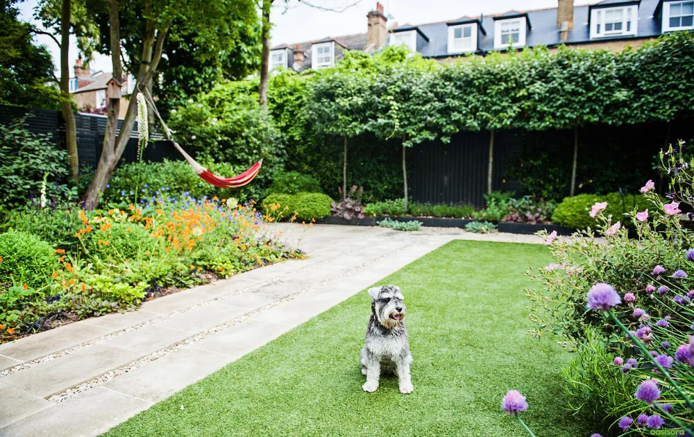 15 Tips for Dog Friendly Backyard Ideas on a Budget in 2025 9 Safe-Dog-Friendly-Plants-and-Landscaping