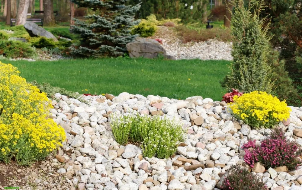 Using-Rocks-in-Areas-with-Delicate-Plants