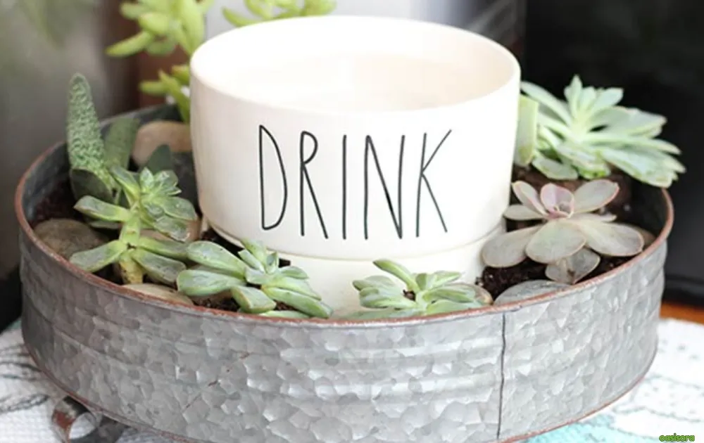 15 Tips for Dog Friendly Backyard Ideas on a Budget in 2025 16 Water-Stations-With-Repurposed-Buckets-or-Bowls