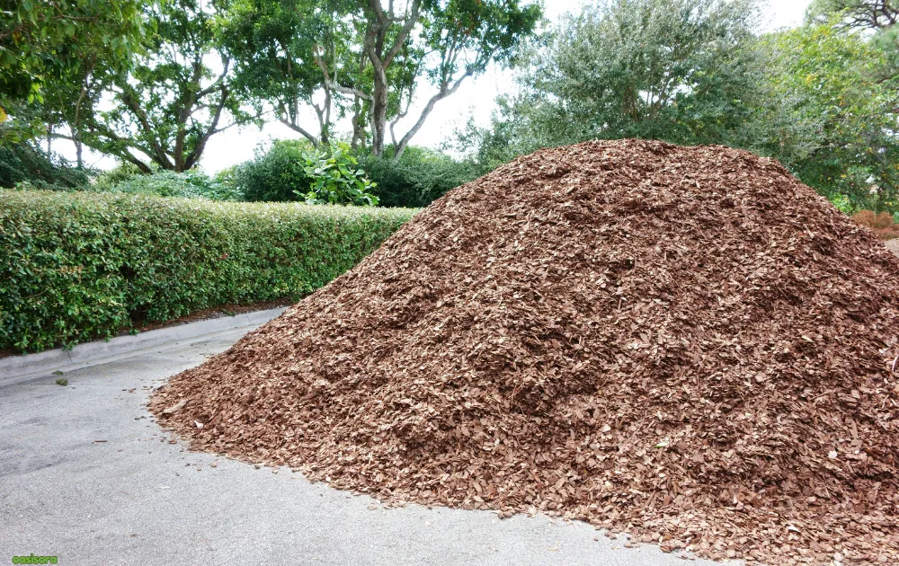 What-Is-Mulch