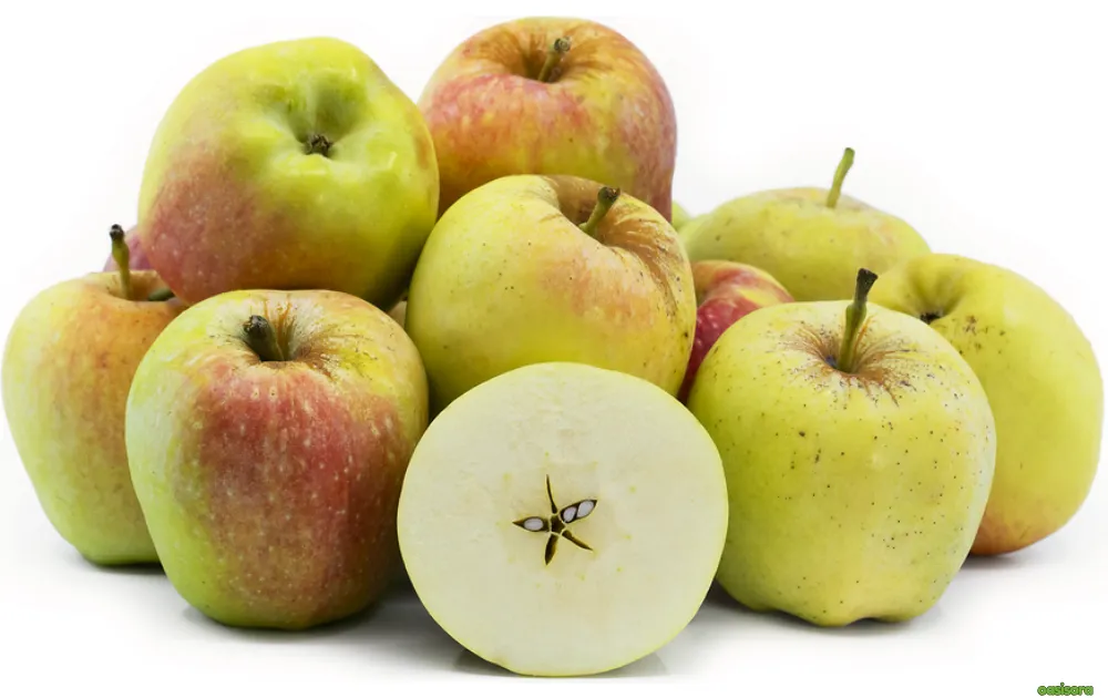 18 Best Fruit Trees to Grow in Arizona: Low-Maintenance Guide 13 Anna-Apple