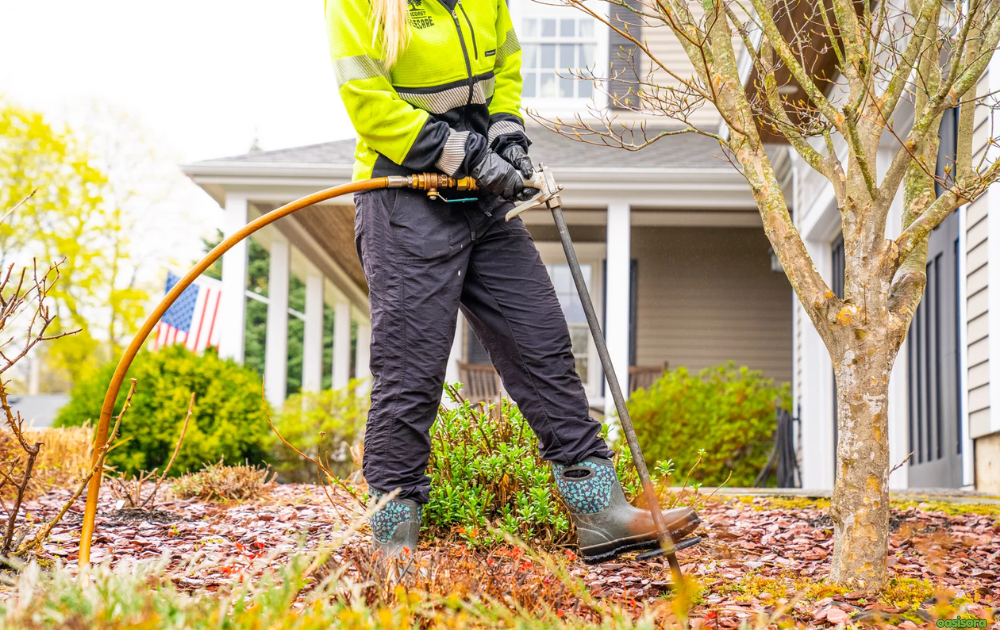 Deep-Root-Fertilization-for-arizona-trees