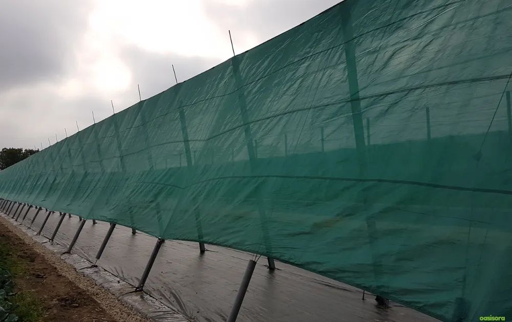 5 Simple Solutions To Frost Damage on Trees in Arizona 13 Protective-Windbreaks-for-air-control