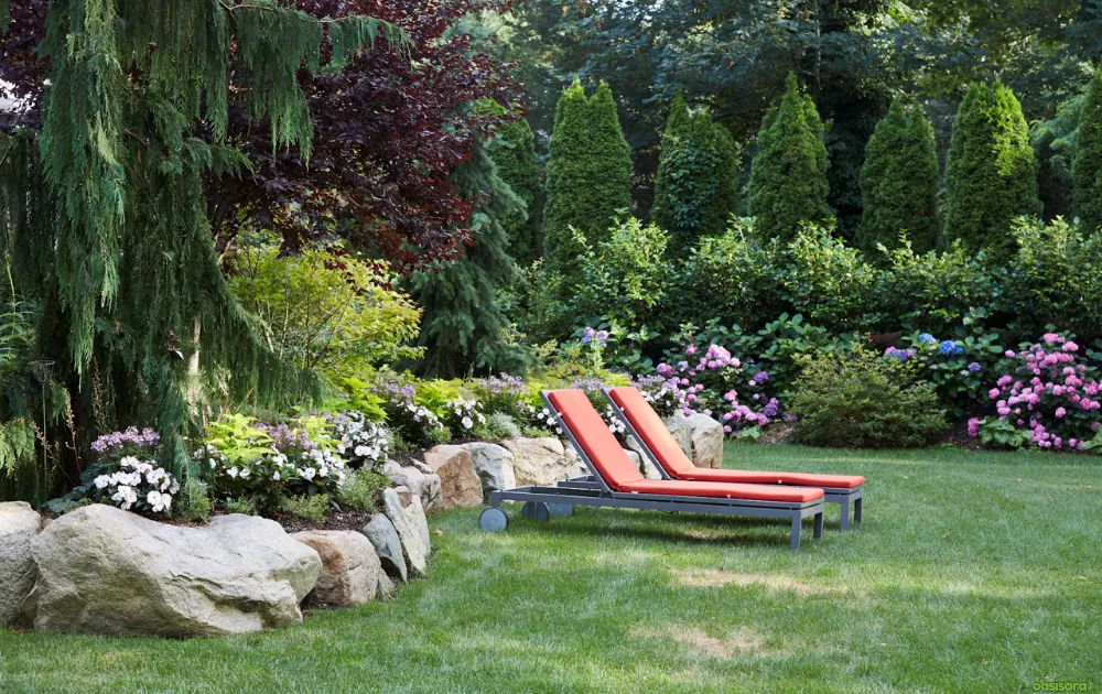 Right-Evergreen-Tree-for-Your-Landscape