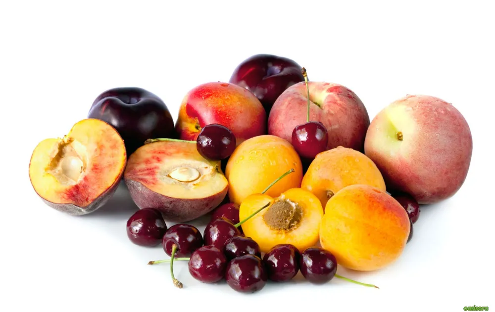 18 Best Fruit Trees to Grow in Arizona: Low-Maintenance Guide 7 Stone-Fruits-Require-Low-Chill-Varieties